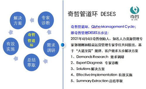 上海奇哲咨詢 企業管理咨詢的價值和作用是什么